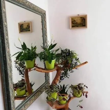 Medvedi Brloh Гостевой дом